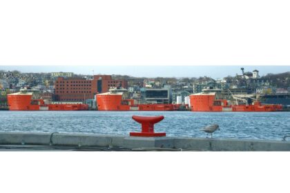 op-ed:-it’s-time-to-bring-it-home-building-nl’s-future