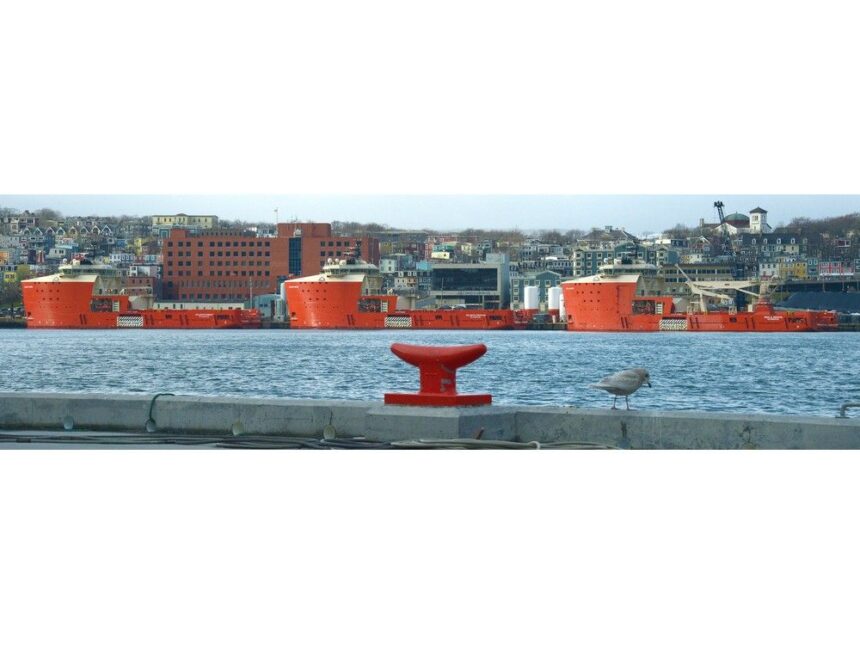 op-ed:-it’s-time-to-bring-it-home-building-nl’s-future