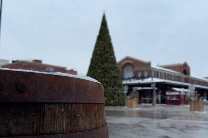 behold-this-15-metre-tall-christmas-tree-in-the-byward-market