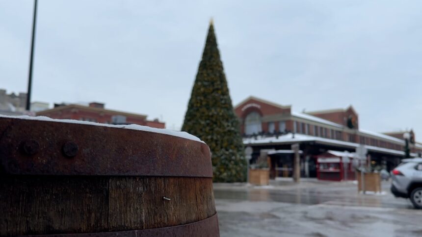 behold-this-15-metre-tall-christmas-tree-in-the-byward-market