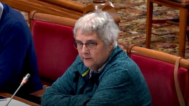 nb.-begins-year-long-review-of-official-languages-law