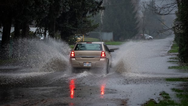 flood-warning-in-place-for-parts-of-bc.s-fraser-valley-as-heavy-rain-drenches-region