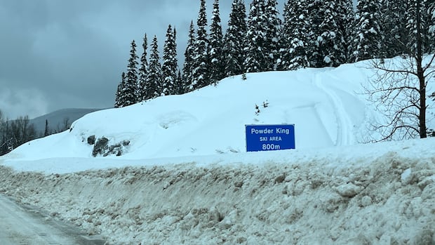 avalanche-risk-closes-major-bc.-highway-routes-in-pine-pass,-kootenay-regions