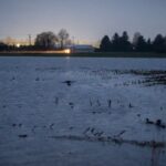 here’s-what-you-need-to-know-about-fraser-valley-flood-risk