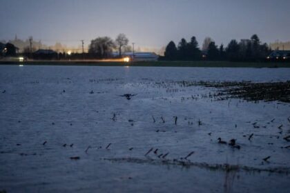 here’s-what-you-need-to-know-about-fraser-valley-flood-risk