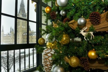 mps-break-for-the-holidays-with-4-bills-passing-house-in-fall-sitting