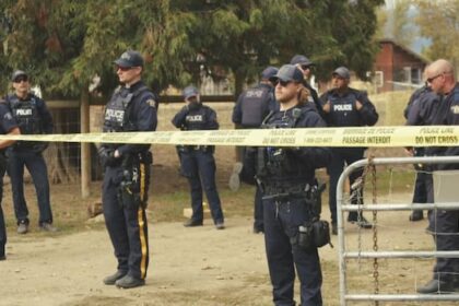 man-charged-with-assault-of-73-year-old-neighbour-of-universal-ostrich-farm