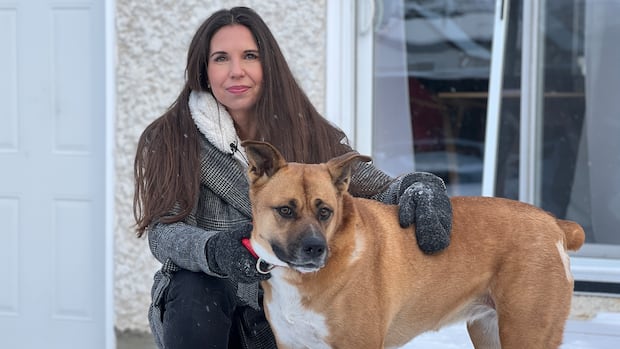 winnipeg-woman-says-she’s-shaken-after-3-off-leash-dogs-attacked-her-pet