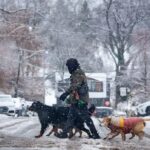 will-this-winter-be-colder-or-warmer-than-last?-for-most-of-canada,-it’s-a-toss-up