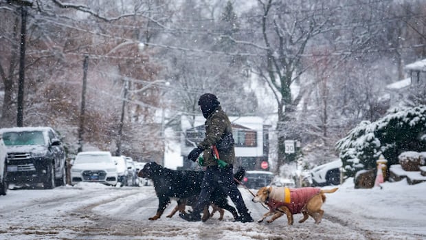 will-this-winter-be-colder-or-warmer-than-last?-for-most-of-canada,-it’s-a-toss-up