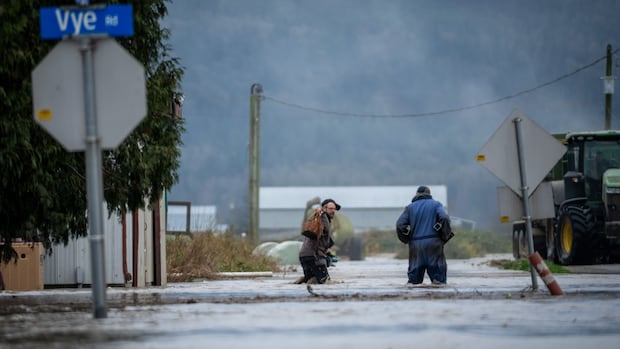flooding-in-fraser-valley-expected-to-peak-today,-with-more-rain-on-the-way