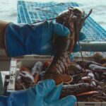 federal-fisheries-minister-talks-tariffs,-quotas-and-first-nations-in-year-end-interview