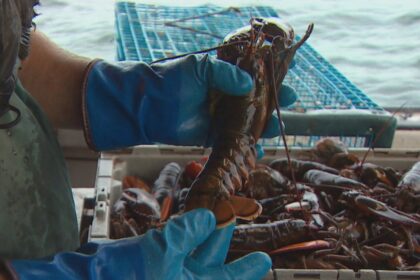 federal-fisheries-minister-talks-tariffs,-quotas-and-first-nations-in-year-end-interview