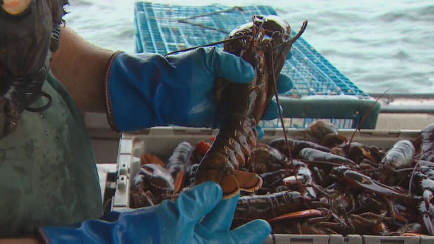 federal-fisheries-minister-talks-tariffs,-quotas-and-first-nations-in-year-end-interview