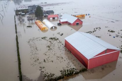 fear-and-frustration-as-floods-put-abbotsford,-bc.,-farms-under-threat-yet-again