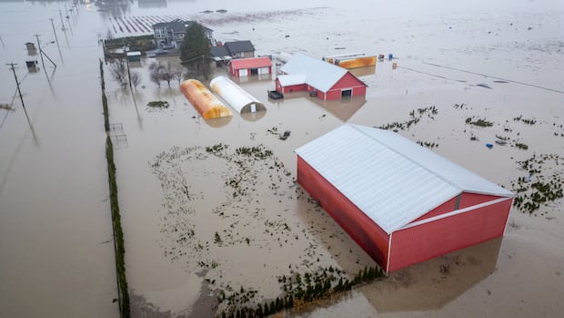 fear-and-frustration-as-floods-put-abbotsford,-bc.,-farms-under-threat-yet-again