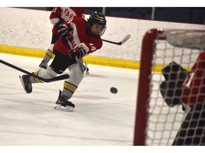 in-photos:-riverview-ravens-down-sydney-academy-wildcats-in-girls-hockey-action-in-cape-breton