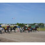 mla-says-pei.-harness-racing-industry-caught-off-guard-by-purse-rule-change