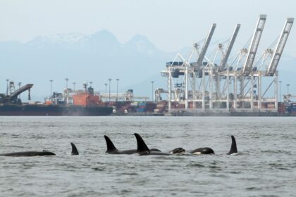 industrial-sacrifice-zone:-the-plan-to-bring-oil-supertankers-to-the-mouth-of-the-fraser-river