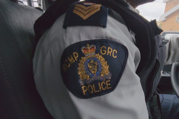 trio-of-foragers-found-safe-after-spending-night-in-bush-in-northern-saskatchewan