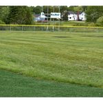 outfield-grass-issues-causing-delay-in-opening-newly-renovated-bernie-macneil-memorial-ball-field-in-cape-breton