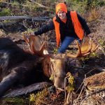 study-to-look-at-how-glyphosate,-ddt-impact-province’s-moose