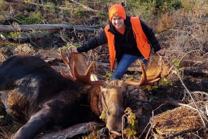 study-to-look-at-how-glyphosate,-ddt-impact-province’s-moose