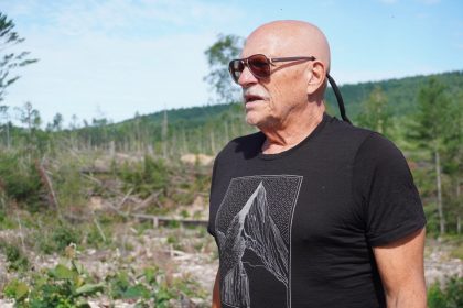rebuilding-a-northern-ontario-forest-with-climate-change-in-mind