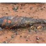 explosive-device-washed-ashore-in-portapique-identified-as-a-two-inch-mortar