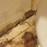 family-getting-sick-from-mouldy-public-housing-in-cambridge-bay-cant-find-a-way-out