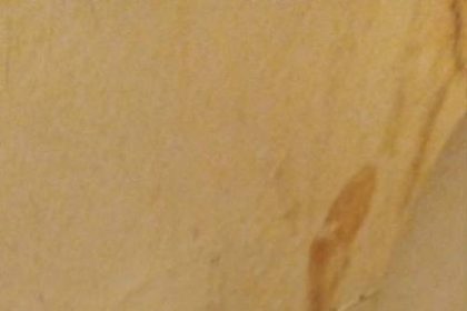 family-getting-sick-from-mouldy-public-housing-in-cambridge-bay-cant-find-a-way-out