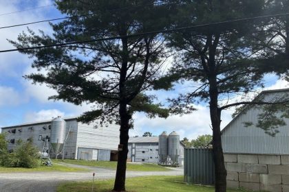 break-and-enter-leaves-10,000-chickens-dead-on-nova-scotia-farm