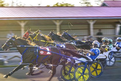 harness-racing:-alritealritealrite-repeats-at-cape-breton’s-northside-downs