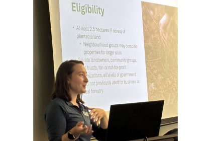 reforestation-begins-in-shelburne-countyfollowing-2023-wildfire