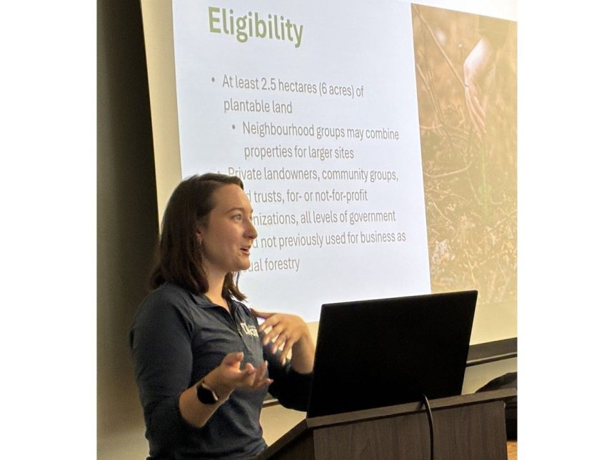 reforestation-begins-in-shelburne-countyfollowing-2023-wildfire