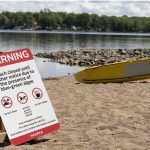 popular-beach-in-halifax-closed-indefinitely-after-blue-green-algae-outbreak