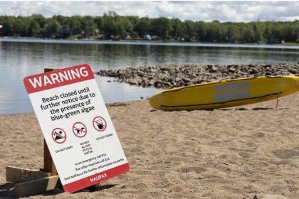 popular-beach-in-halifax-closed-indefinitely-after-blue-green-algae-outbreak