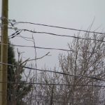 hydro-quebec-envisage-deffacer-250-m$-de-factures-impayees