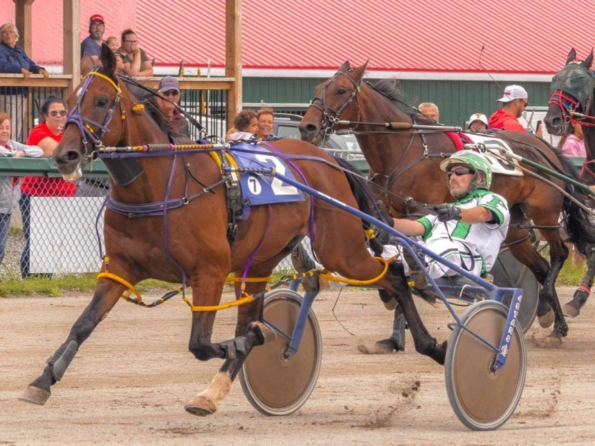 alritealritealrite-victorious-again-at-cape-breton’s-northside-downs