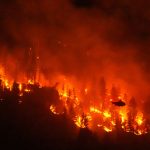 devastation:-chief-says-about-230-homes-destroyed-by-bc.-wildfire