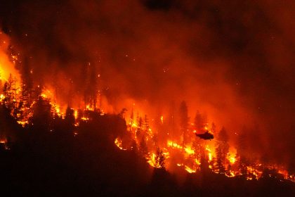 devastation:-chief-says-about-230-homes-destroyed-by-bc.-wildfire