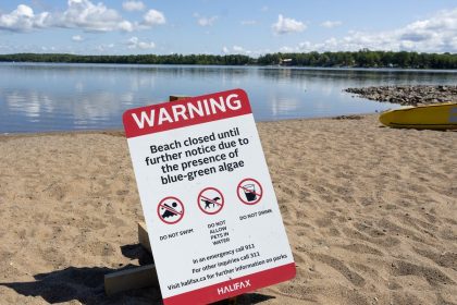 nine-nova-scotia-lakes-now-contaminated-with-blue-green-algae,-conditions-favour-more-blooms
