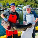 reeling-in-a-new-generation-of-cod-fishers