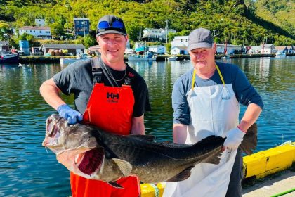 reeling-in-a-new-generation-of-cod-fishers