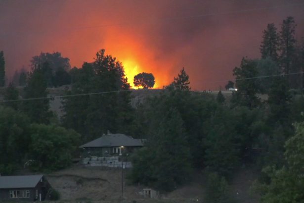 we-measure-it-in-memories-lost:-bradley-creek-wildfire-leaves-okanagan-indian-band-community-facing-long-road-to-recovery