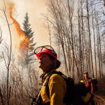 falling-trees-and-helicopter-crashes:-alberta-wildfire-fighters-create-their-own-support-system