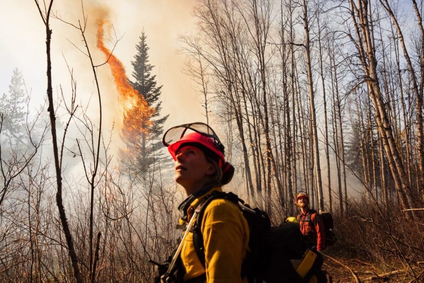 falling-trees-and-helicopter-crashes:-alberta-wildfire-fighters-create-their-own-support-system