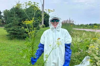 pei.-invasive-species-council-on-hunt-for-plants-harmful-to-humans