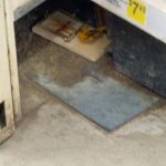 fewer-rodents-in-gjoa-haven-northern-store,-infestation-believed-over:-gn