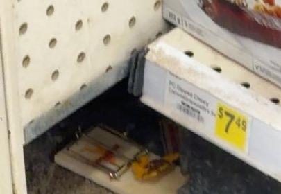 fewer-rodents-in-gjoa-haven-northern-store,-infestation-believed-over:-gn